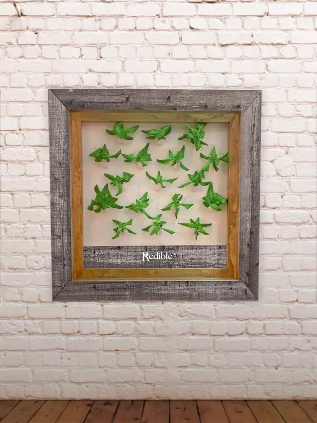 Redible Frame - Painted White