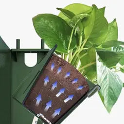 Redible Frame - Painted White